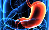 胃がんの早期発見は難しいですが、その兆候を知っておくことは重要です。（Shutterstock）