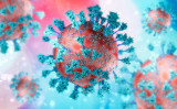 オミクロン株の変異種であるBA.2は、その病原性および感染力において、格段に強くなっています。（Shutterstock）