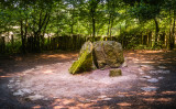 ブロセリアンドの森にあるマーリンの墓（Shutterstock）