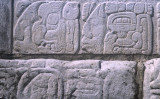 パレンケ遺跡にあるマヤ文字のレリーフ。（カスバ / PIXTA）