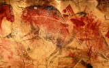 アルタミラ洞窟の壁画（Shutterstock）